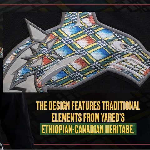 Detail of the Canucks orca logo re-imagined with Ethiopian textile patterns