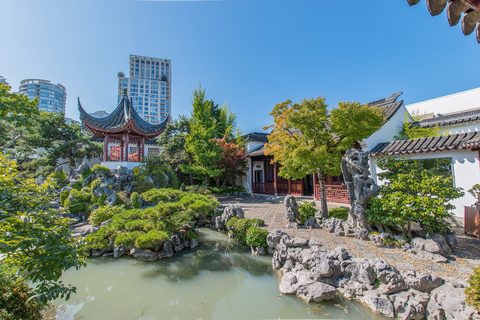 The Dr. Sun Yat-Sen Classical Chinese Garden in Vancouver, behind the Art Lab Studio